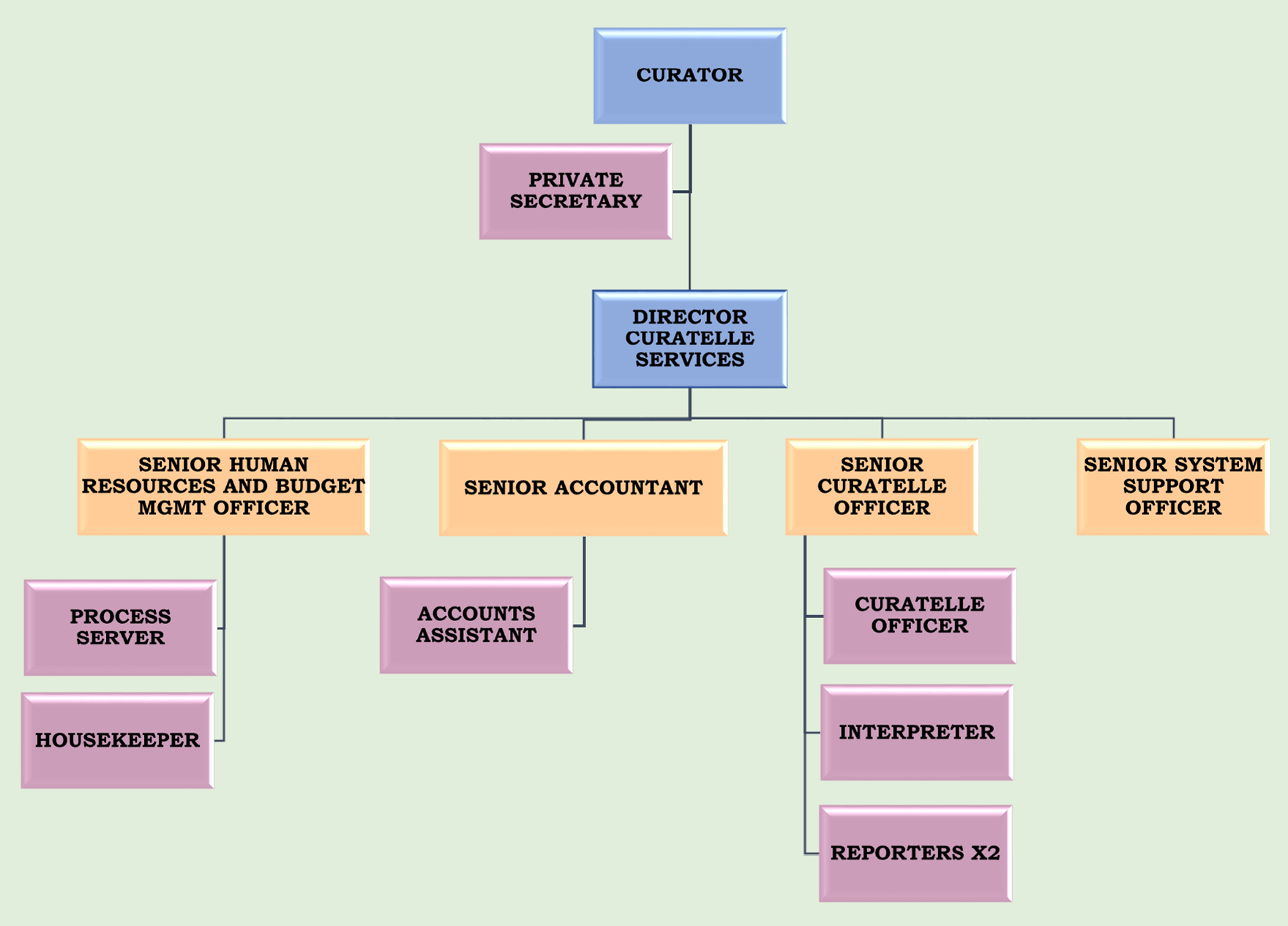 Organizational Chart